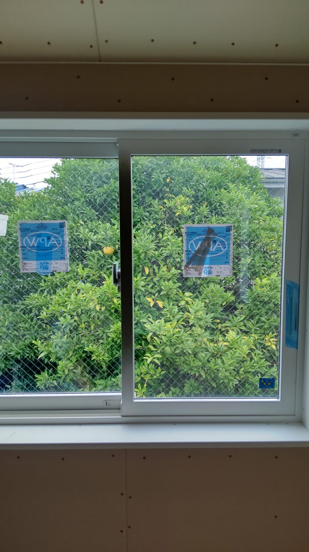 お向かいさんは植栽